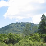 Liften naar Taupo Liften naar Taupo
