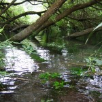 Helder water Helder water