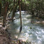 Rivier Rivier
